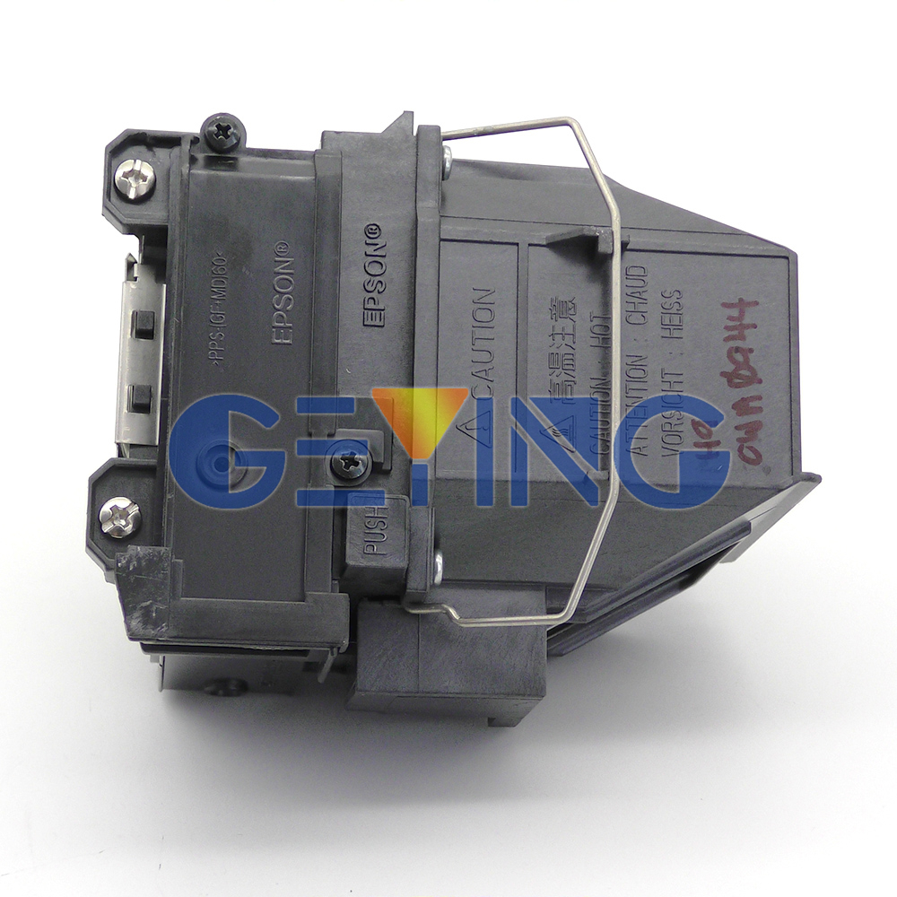 GYPLP91