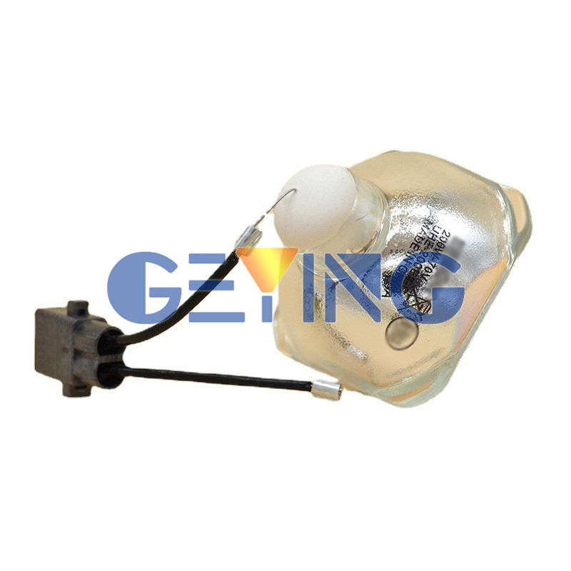 GYPLP61