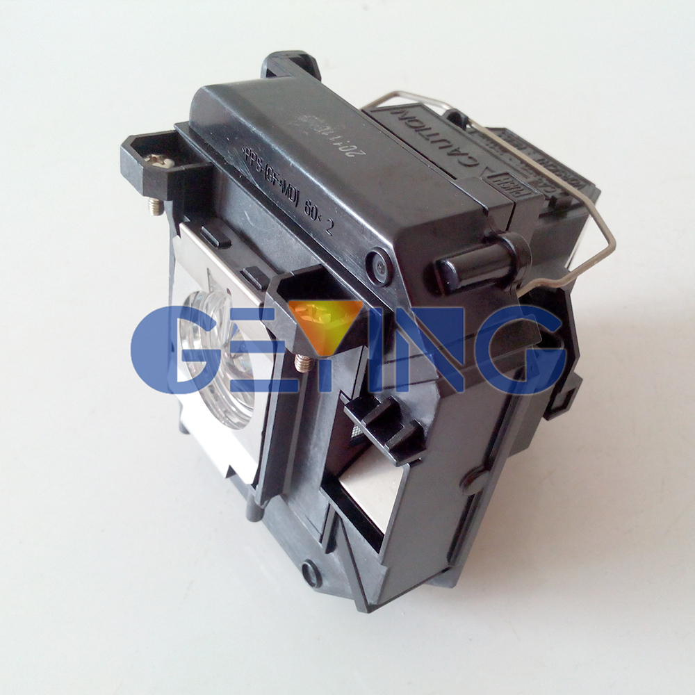 GYPLP61