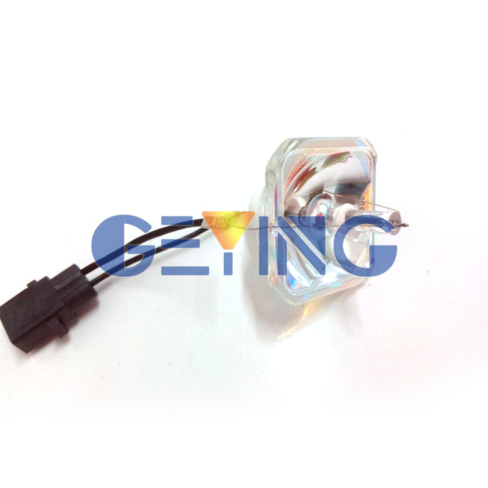 GYPLP48