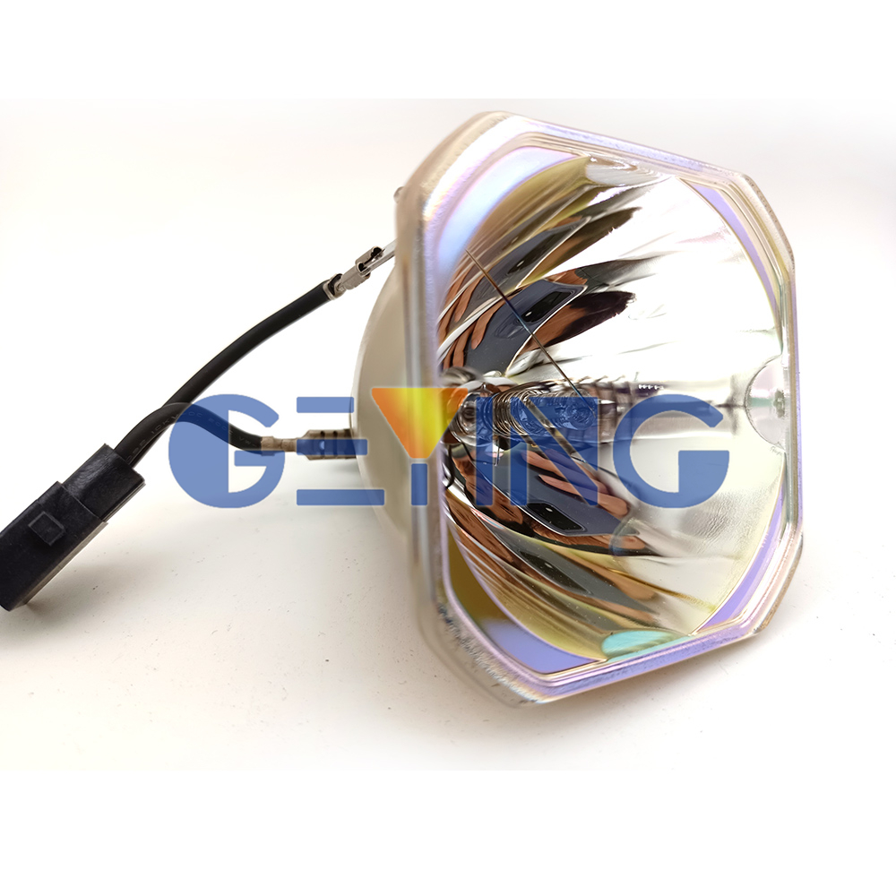 GYPLP51 52