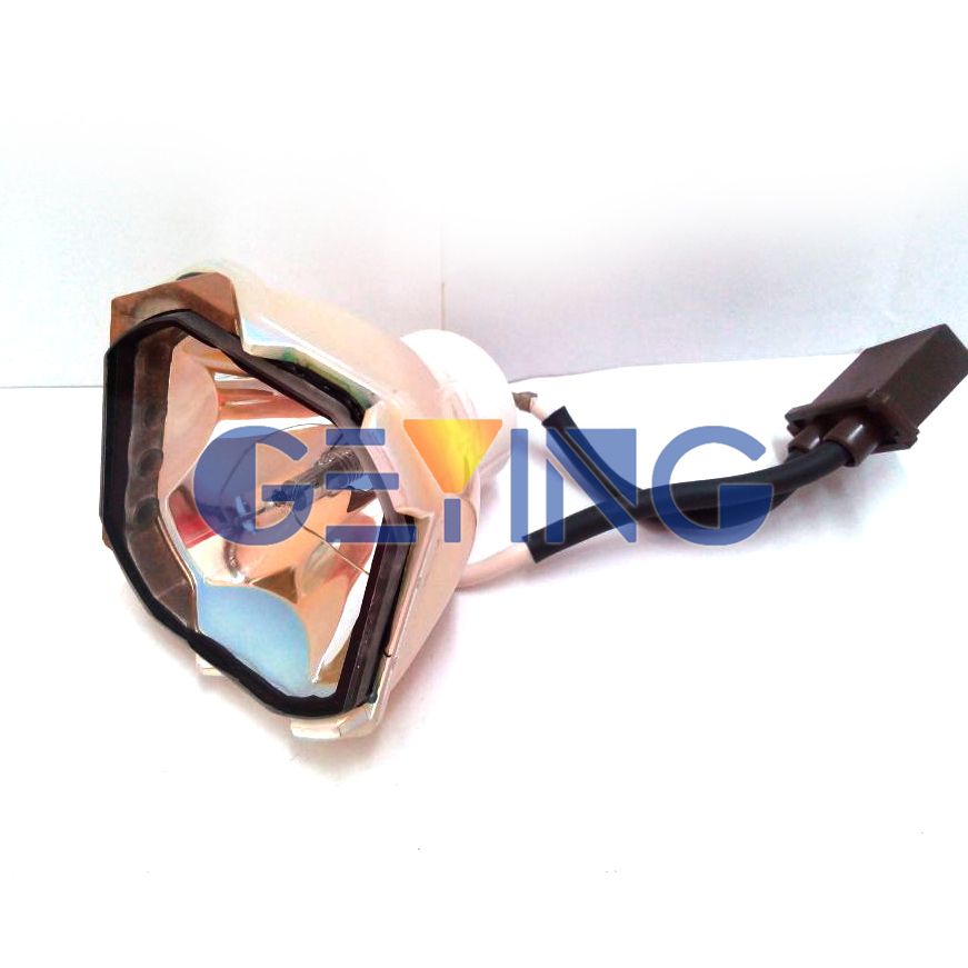 DT00231+